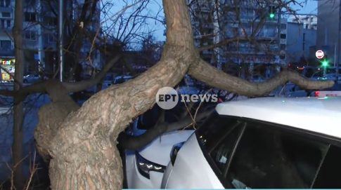 Αποκλειστικό ΕΡΤ3: Ταυτόχρονη διπλή μεταμόσχευση στο Ιπποκράτειο Νοσοκομείο Θεσσαλονίκης