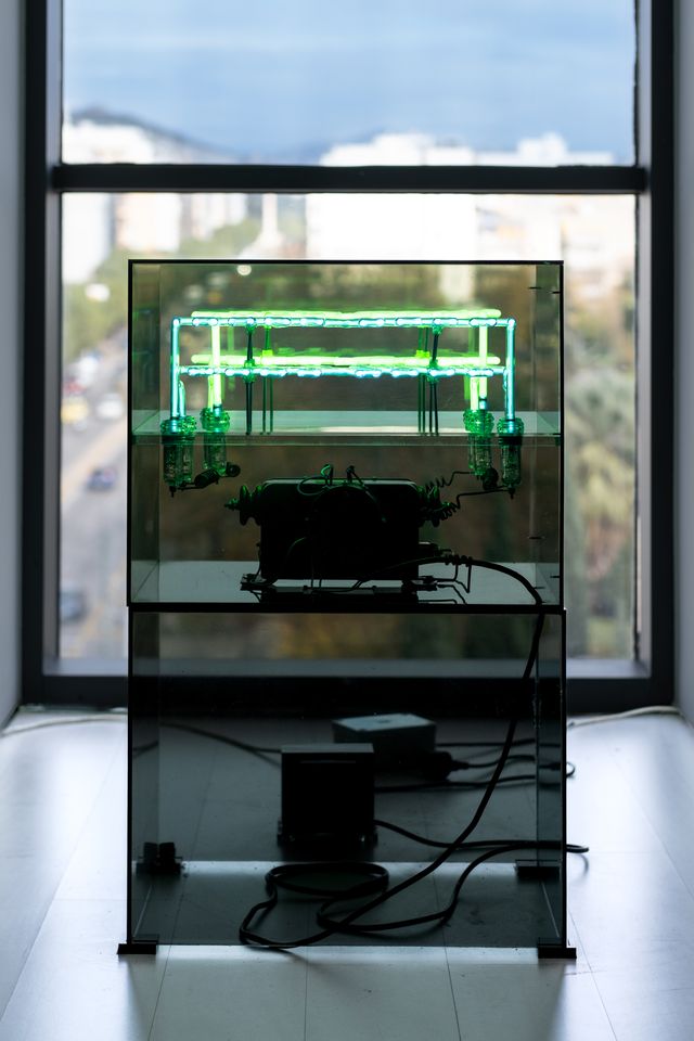 «Ελληνικός Μήνας και Θαλασσόκαμπος»: Ημερίδα την Κυριακή 8/2 στο ΕΜΣΤ για τον αντίκτυπό του στη σύγχρονη ελληνική τέχνη