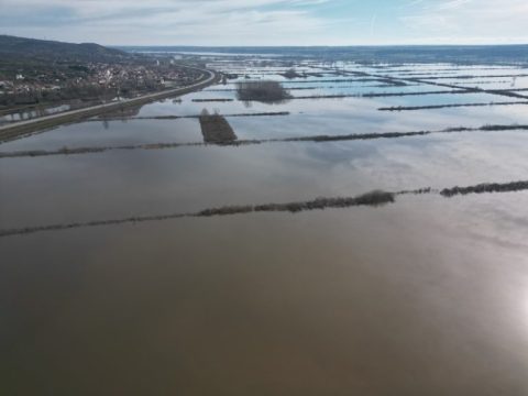 Α. Ψαρόπουλος στο ΕΡΤnews Radio 105,8: Πρέπει να γίνει με ένα συγκεκριμένο αυστηρό πρωτόκολλο η εκταφή – Δεν μπορούν τα εδώ ιατροδικαστικά εργαστήρια