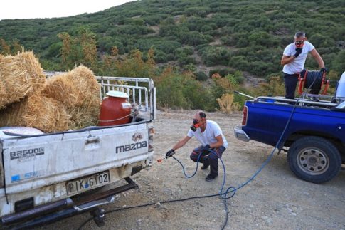 Πώς μπορεί η φύση να μας διδάξει να λύνουμε τα προβλήματα του μέλλοντος