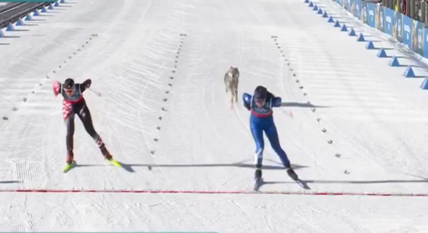 Τα παράδοξα των Χειμερινών Ολυμπιακών στο Μιλάνο: Το Penisgate με το υαλουρονικό, η ομολογία απιστίας on camera και ο σκύλος που ήθελε μετάλλιο