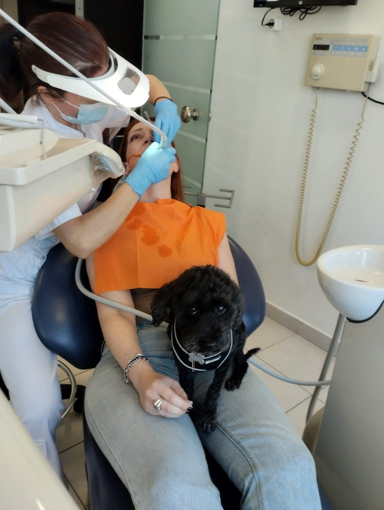 Η Άριελ, η «τετράποδη βοηθός» που μειώνει το οδοντιατρικό άγχος στη Θεσσαλονίκη