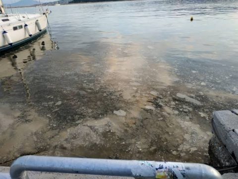 Συμβούλιο Χρηστών Λιμένα Βόλου: Στο επίκεντρο η επίσπευση του Master Plan και οι επενδύσεις εκσυγχρονισμού