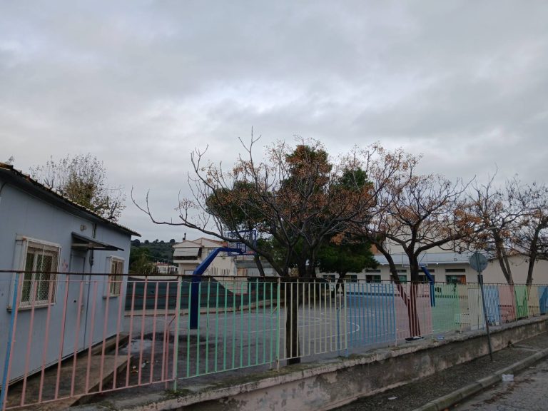 Στον Εισαγγελέα προσέφυγαν οι γονείς του 27ου Δημοτικού Βόλου για σοβαρά προβλήματα ασφάλειας