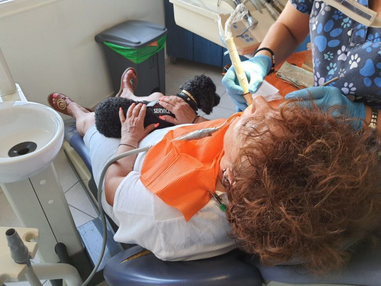 Η Άριελ, η «τετράποδη βοηθός» που μειώνει το οδοντιατρικό άγχος στη Θεσσαλονίκη