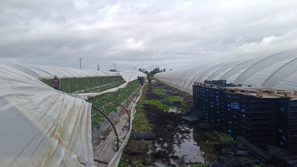 Στο έλεος της κακοκαιρίας o Πύργος – Κατολίσθηση στον δρόμο Αλφειούσας – Φράγμα Φλόκα, ζημιές σε σπίτια και καλλιέργειες