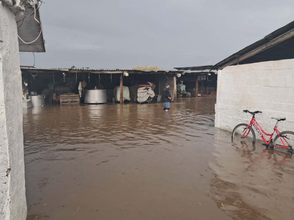 Πλημμύρισαν στάβλοι και αποθήκες στον Πύργο