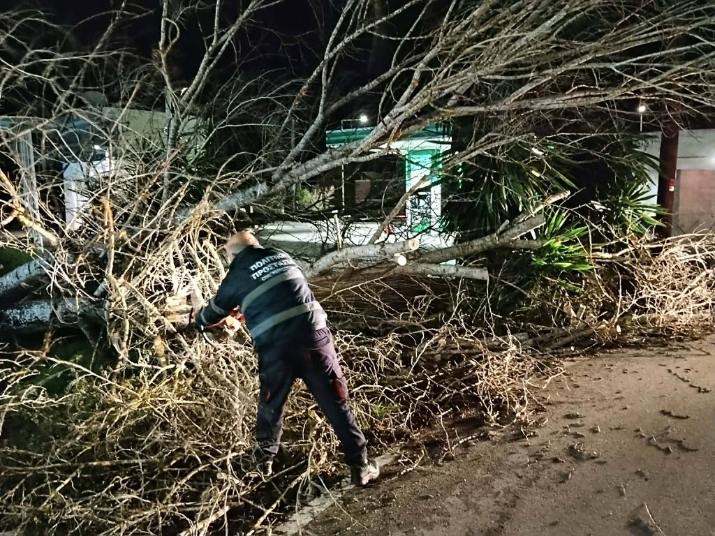 Κέρκυρα: 11 μποφόρ “χτύπησαν” τους Αυλιώτες – Προβλήματα στην ηλεκτροδότηση