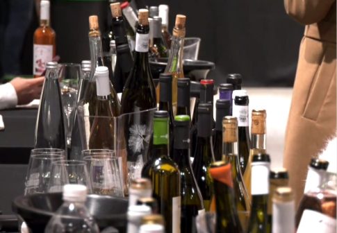 Θεσσαλονίκη: Σκυλάκι σε ρόλο βοηθού οδοντίατρου- Πως λειτουργεί η θεραπευτική υποστήριξη ασθενών με τη βοήθεια ζώων