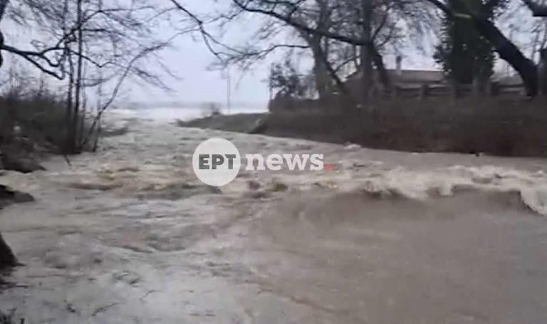 Ισχυρές βροχές και θυελλώδεις άνεμοι στα παράλια της Λάρισας – Mηχανήματα καθαρίζουν τους δρόμους