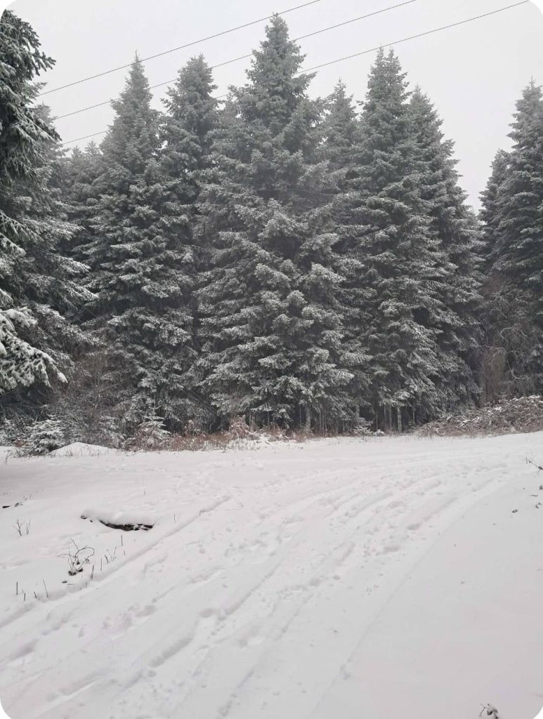 Στα λευκά ο Έβρος – Κλειστά σχολεία και ισχυρός παγετός από το απόγευμα