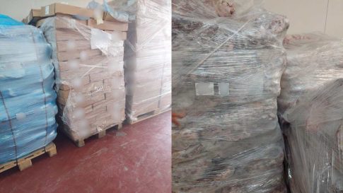 Πρώτη η ΕΡΤ σε τηλεθέαση και στον Β΄ Ημιτελικό του «Sing for Greece 2026»