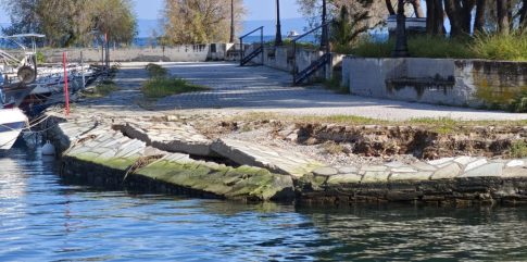 Ρεκόρ γεννήσεων μεσογειακής φώκιας στην Αλόννησο