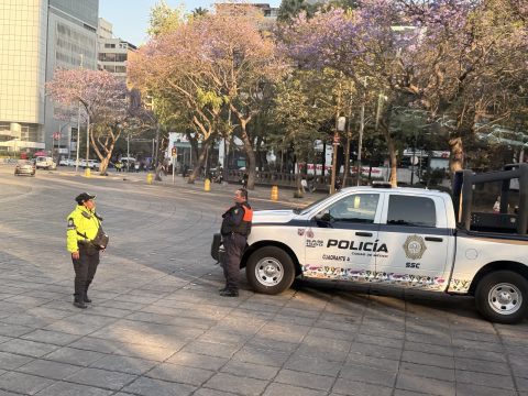 Η ξεχασμένη σπανιότητα: <br> Φόβος ή ευκαιρία;