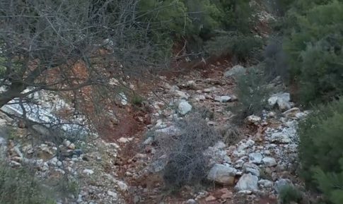 Το πρόγραμμα Φεβρουαρίου Συλλόγου Πεζοπόρων Ορειβατών Καλαμάτας «Ο Ευκλής»