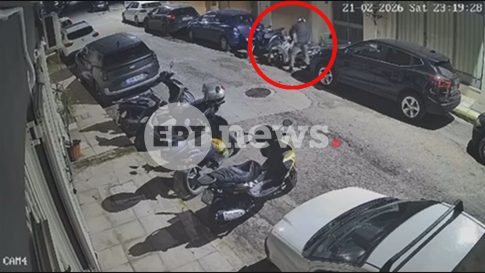 Φύτευσε έλατα στα κεντρικά πάρκα της πόλης ο δήμος Τρίπολης