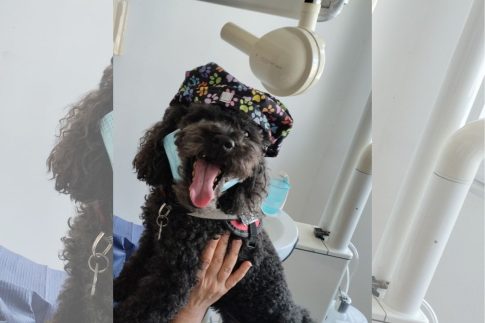 Νέα ημερομηνία για τον «Οιδίποδα» του Χουβαρδά στο <strong>Δημοτικό Θέατρο Λυκαβηττού</strong>