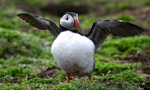 Τα υπερεπεξεργασμένα τρόφιμα έχουν περισσότερα κοινά με τα τσιγάρα, λένε οι επιστήμονες
