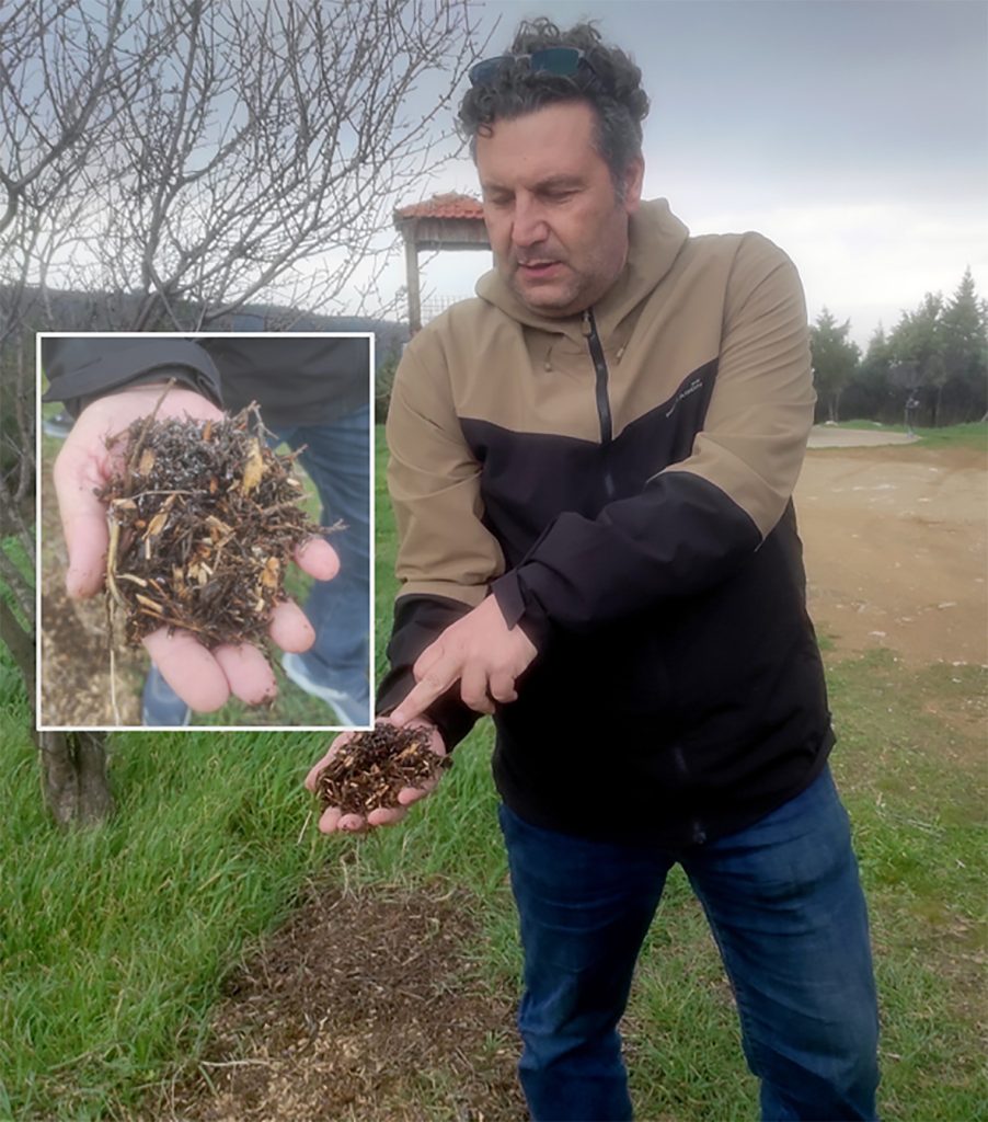 Δήμος Νεάπολης-Συκεών: Παρέμβαση αντιπυρικής προστασίας μεταμορφώνει δάσος στα Πεύκα