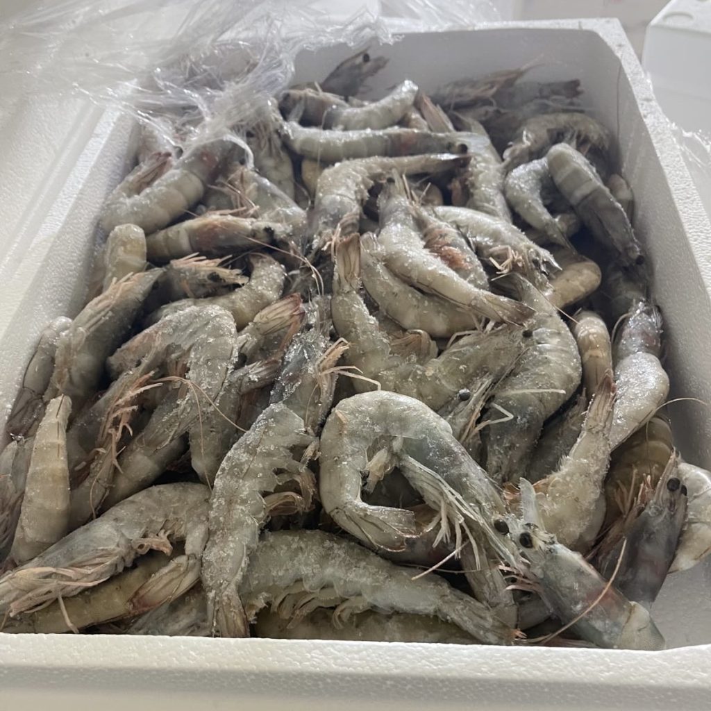 Νέες κατασχέσεις 5,6 τόνων ακατάλληλων τροφίμων από την Περιφέρεια Αττικής