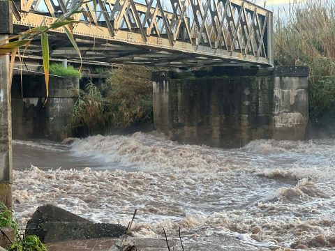 Γ. Κόκκινος: Ο διάλογος για το μέλλον του αγροδιατροφικού τομέα έπρεπε να έχει ξεκινήσει πολύ πριν- «Ερασιτεχνική» και «από απόσταση» ελαιοκομία δεν αντέχει