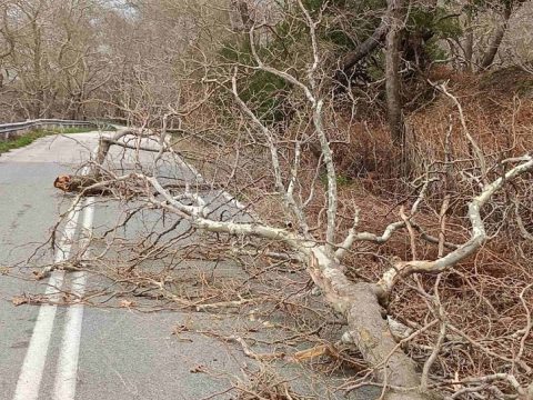 Έκτακτες συστάσεις του Δήμου Αλμυρού για την επερχόμενη κακοκαιρία