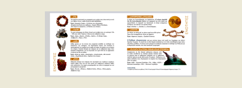 Κομοτηνή: Έριξε υδροχλωρικό οξύ σε υπάλληλο καταστήματος που προσπάθησε να ληστέψει