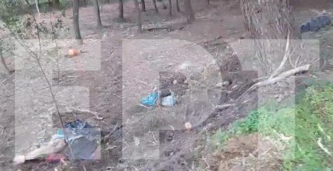 Η ξεχασμένη σπανιότητα: <br> Φόβος ή ευκαιρία;