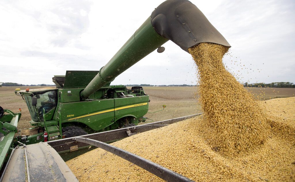 Τα βιοκαύσιμα σόγιας δεν θα λογίζονται πλέον  ανανεώσιμες πηγές ενέργειας στην Ε.Ε.