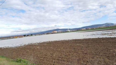 Πεζοπορία στην Κάρλα από τον Σύλλογο Δρομέων Υγείας