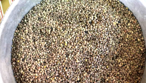 Με αεροδιακομιδή στην Αθήνα τραυματισμένα παιδιά από την τραγωδία στη Χίο