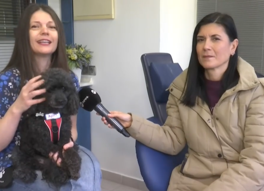 Θεσσαλονίκη: Σκυλάκι σε ρόλο βοηθού οδοντίατρου- Πως λειτουργεί η θεραπευτική υποστήριξη ασθενών με τη βοήθεια ζώων