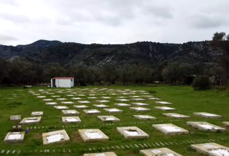 Μυτιλήνη: Υλοποίηση από το δήμο προγράμματος ταυτοποίησης νεκρών μεταναστών