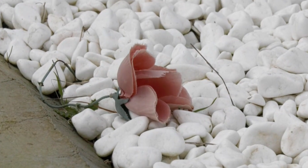 Μυτιλήνη: Υλοποίηση από το δήμο προγράμματος ταυτοποίησης νεκρών μεταναστών