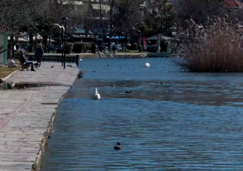 Φλώρινα: Κινηματογραφική καταδίωξη ανδρών που εξαπάτησαν 65χρονη