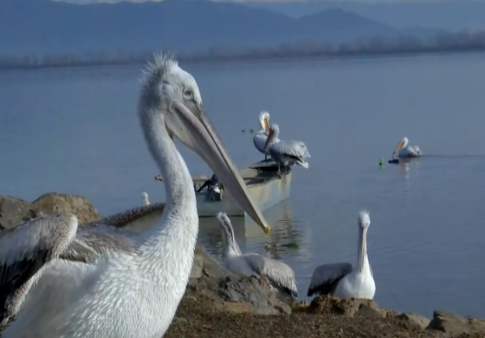 Στη Θεσσαλονίκη το 32<sup>ο</sup> Money Show με 131 εκδηλώσεις