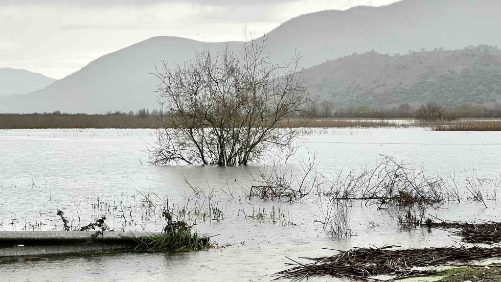 Σε εξέλιξη χιονοπτώσεις στα ορεινά της Ηπείρου