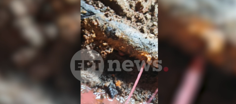 «Βιολάντα»: Ολοκληρώθηκε η νέα έρευνα των στελεχών της ΔΑΕΕ – Καταθέτουν πολιτικοί μηχανικοί και τοπογράφοι