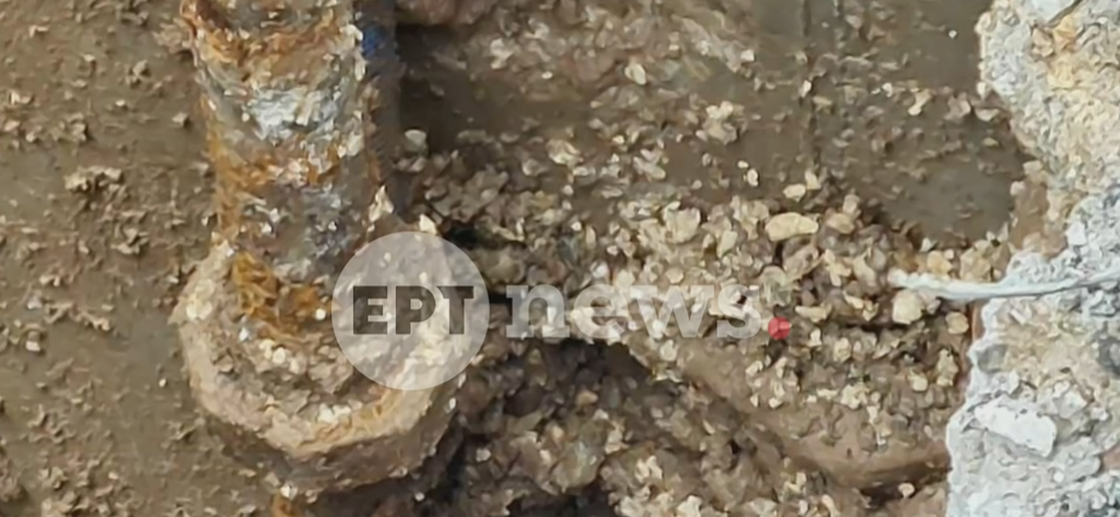 «Βιολάντα»: Στον ανακριτή δύο διευθυντικά στελέχη