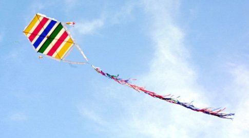 Ιεράπετρα: Σύλληψη για <strong>δηλητηρίαση αδέσποτου σκύλου</strong>