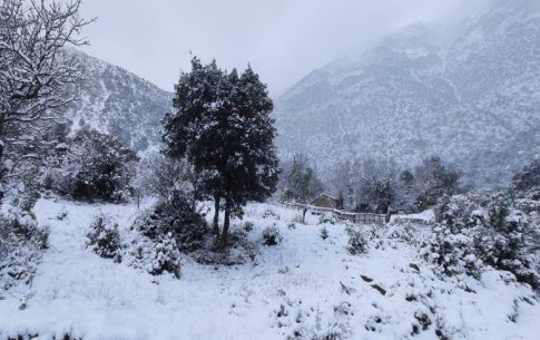 Πρωτιά για το Λύκειο Αργαλαστής στον μαθητικό διαγωνισμό Ελληνικής Γλώσσας «Ελληνικών Συν-ομιλία»