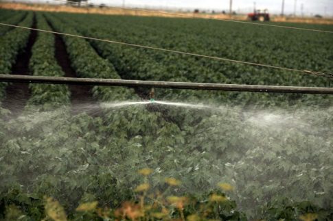 Ο Μπεν Άφλεκ «ξαναφέρνει» τα 90s στο Super Bowl με Dunkin’ και all-star καστ από Friends και Seinfeld