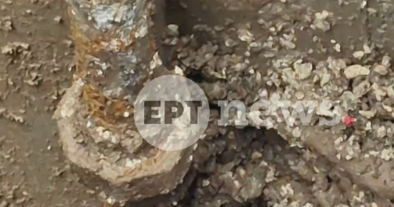 «Βιολάντα»: Στον ανακριτή σήμερα ο ιδιοκτήτης – Από τον Ιούλιο γνωστές οι κακοτεχνίες, έκλεισε και το εργοστάσιο στη Λάρισα