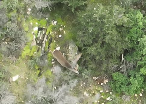 Καστοριά: Χτισμένο πάνω σε βυζαντινή εκκλησία το Επιμελητήριο-Ανάδειξη όχι κατεδάφιση ξεκαθαρίζει ο Μητροπολίτης