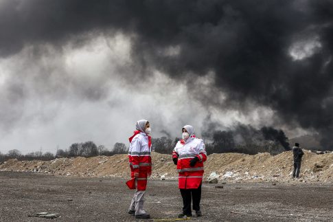 Ιεράπετρα: Σύλληψη για <strong>δηλητηρίαση αδέσποτου σκύλου</strong>
