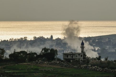 <strong>Νέα Τεχνική Έκθεση της EFSA για την Επιτήρηση Φυτικών Παρασίτων</strong>