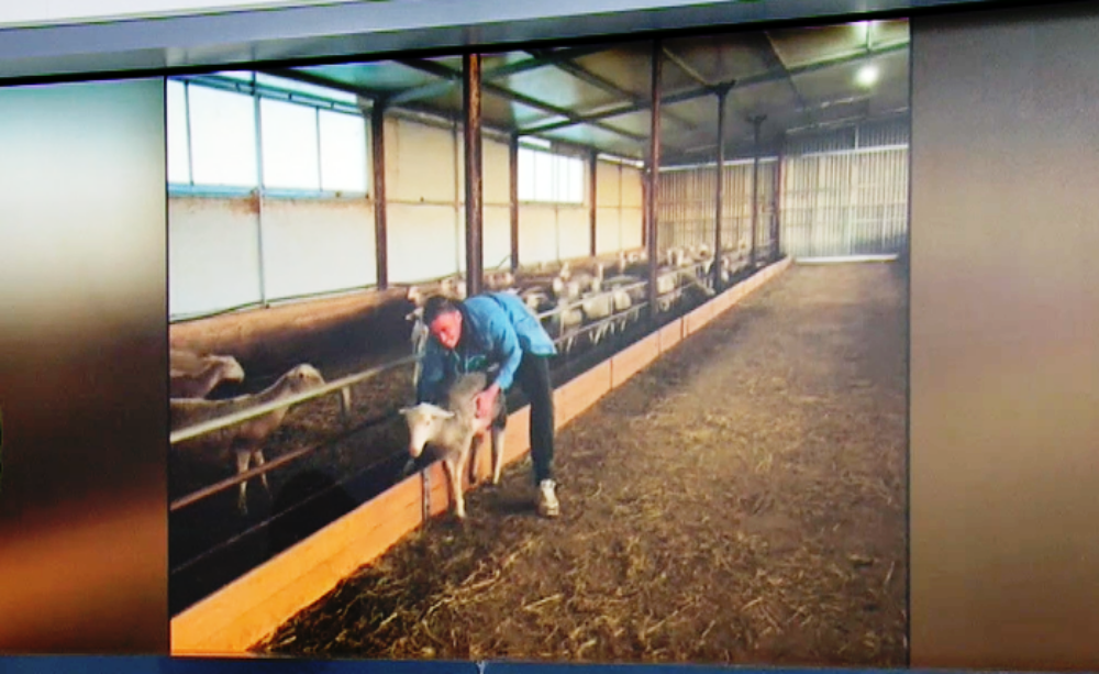 Παράδοση πέντε γενεών στην κτηνοτροφία