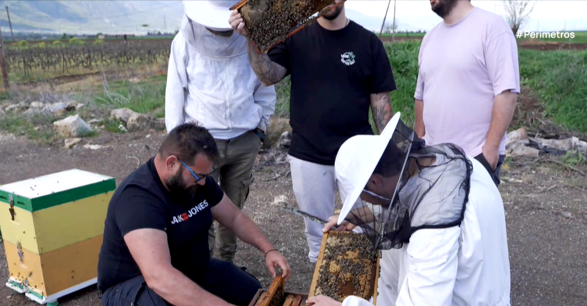 Οι εμβολιασμοί βασιλικών κελιών των μελισσών