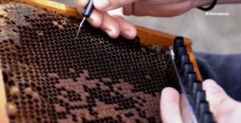 “Send Barron”: H διαδικτυακή καμπάνια για την στράτευση του Μπάρον Τραμπ στον πόλεμο με το Ιράν