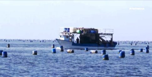 Θεσσαλονίκη: Ανήλικοι διέρρηξαν φορτηγό και άρπαξαν ηλεκτρολογικό εξοπλισμό αξίας 40.000 ευρώ